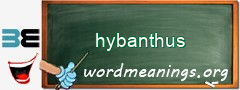 WordMeaning blackboard for hybanthus